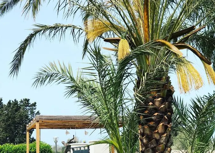 Villa La Casa Di Flo Luxury Alezio